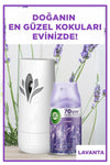 Air Wick Freshmatic Automatic Spray & Lavender Refill Air Freshener Kit 6