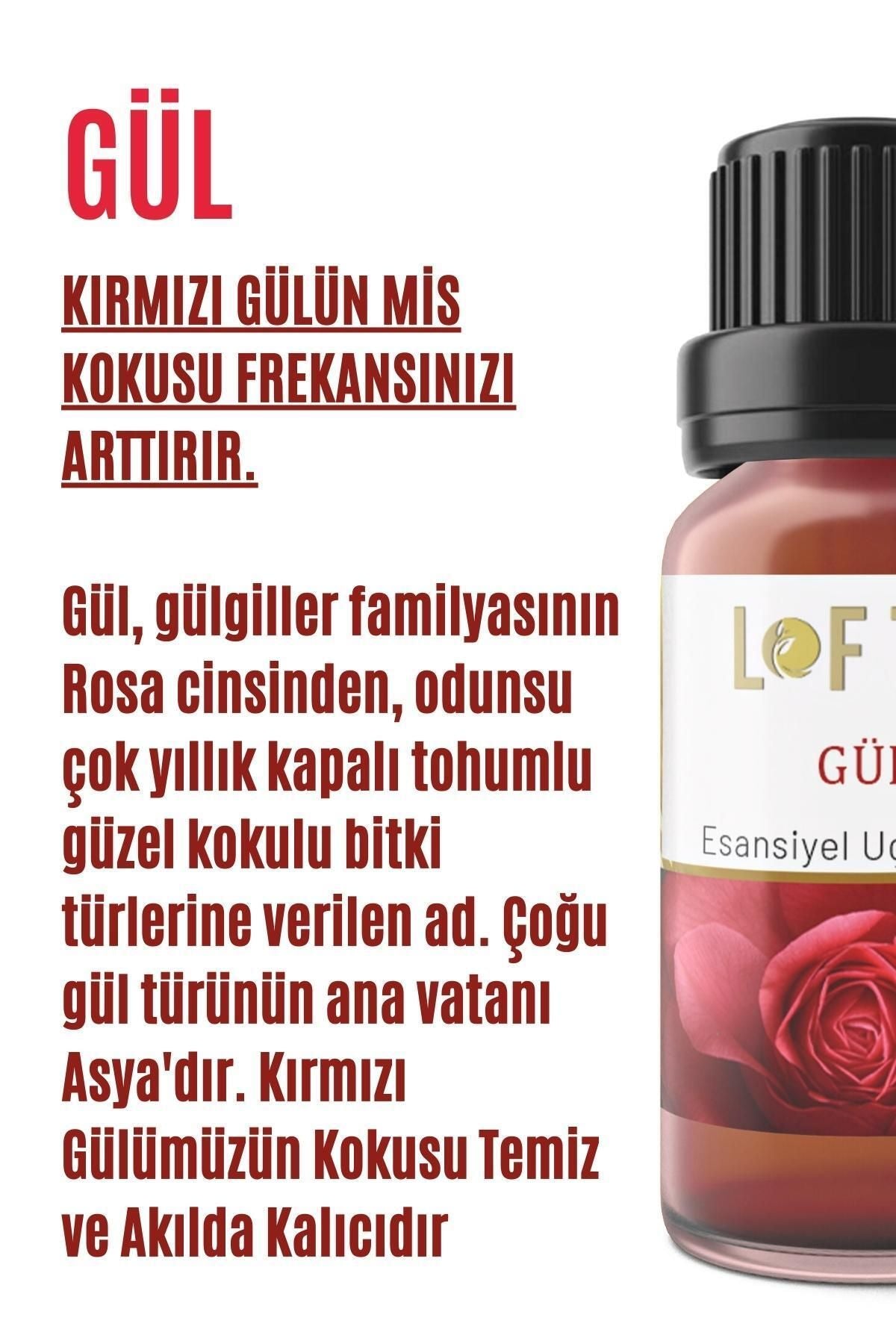 Lofty Rose Essential Oil Burner Essence Room Fragrance Essential Oil Burner Oil 10ml 2