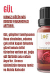 Lofty Rose Essential Oil Burner Essence Room Fragrance Essential Oil Burner Oil 10ml 2