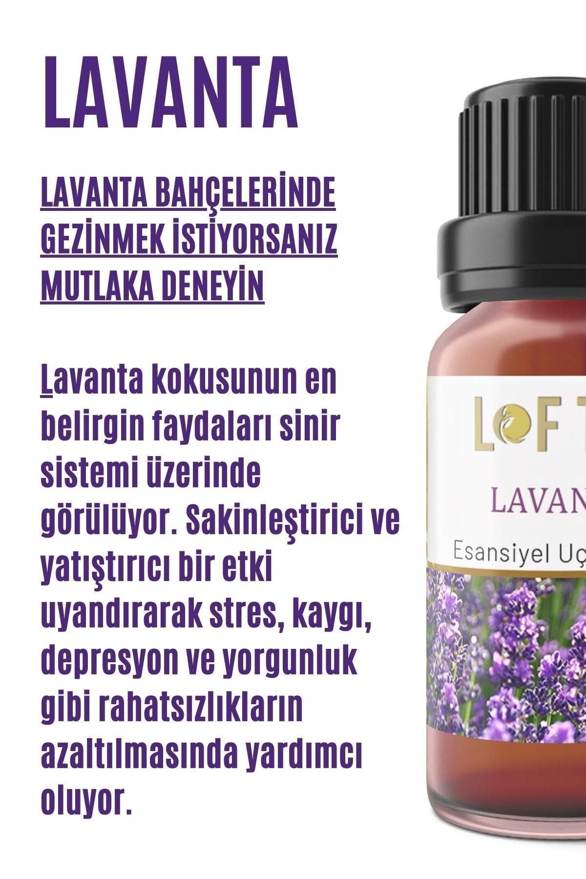 Lofty Lavender Essential Oil Burner Essence Room Fragrance Essential Oil Burner Oil 10ml 2