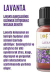 Lofty Lavender Essential Oil Burner Essence Room Fragrance Essential Oil Burner Oil 10ml 2