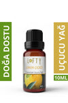 Lofty Lemon Blossom Essential Oil Burner Essence Room Fragrance Essential Oil Burner Oil 10ml 1