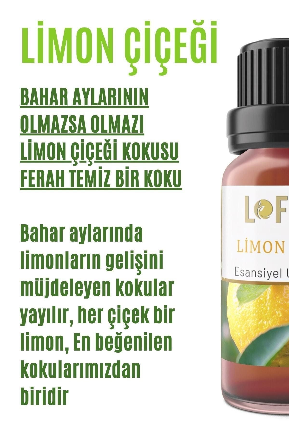 Lofty Lemon Blossom Essential Oil Burner Essence Room Fragrance Essential Oil Burner Oil 10ml 2