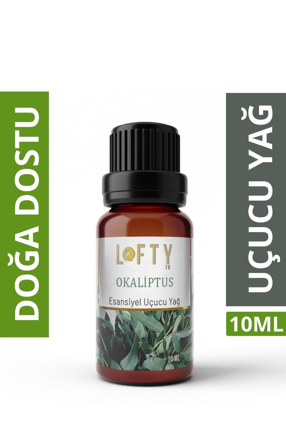 Lofty Eucalyptus Essential Oil Burner Essence Room Fragrance Essential Oil Incense Oil 10ml 1