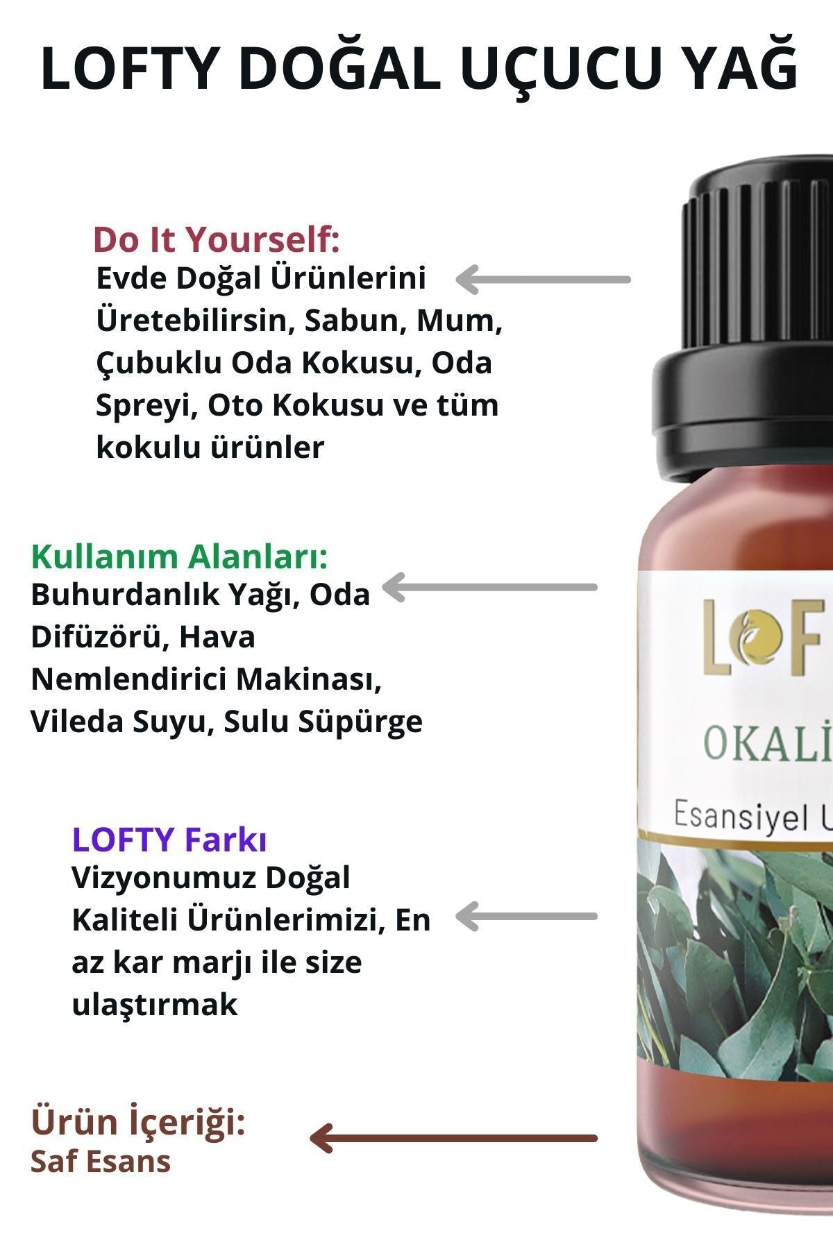 Lofty Eucalyptus Essential Oil Burner Essence Room Fragrance Essential Oil Incense Oil 10ml 4