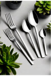 Gökdil Tuana 60 Piece Simple & Steel 12 Person Fork & Spoon Set 2