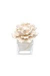 Missi 200-250 Cc Room Fragrance Replacement Flower Wick Ceramic Stone 2