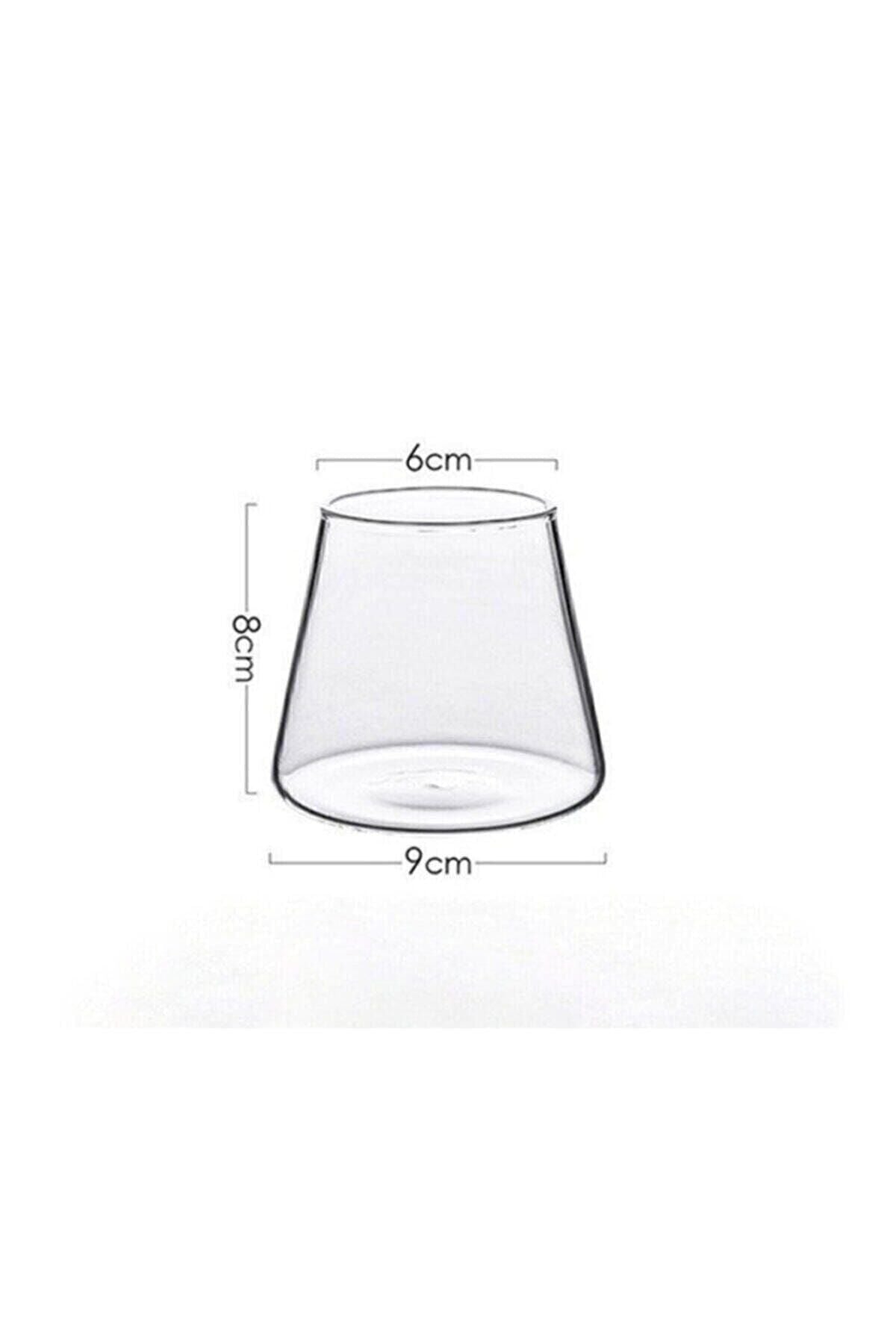 Bycomo Magnolia Glass Borosilicate Heat-resistant Cone Presentation And Beverage Glass 300 ml 4