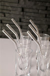 PEGA HOME Nom Trend Transparent 6-Piece Glass Bent Straw 3