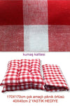 CARTOON Picnic Set Red Picnic Blanket Large Size Tablecloth 170x170 Cm 2 Cushion Gift (40x40cm) 3