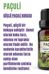 AURAN Patchouli Essential Oil Diffuser Essence 10ml 2