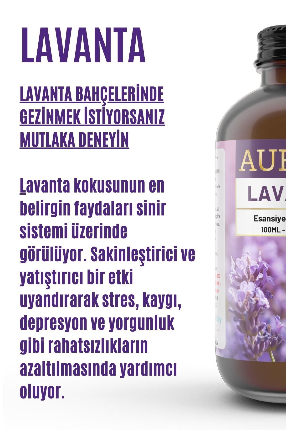 AURAN Lavender Essential Oil Diffuser Essence 100ml 2