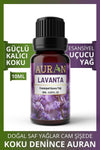 AURAN Lavender Essential Fragrance Oil Burner Oil Diffuser Essence Hobby Essence Room Scent 10ml 1