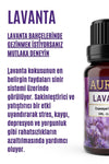 AURAN Lavender Essential Fragrance Oil Burner Oil Diffuser Essence Hobby Essence Room Scent 10ml 2