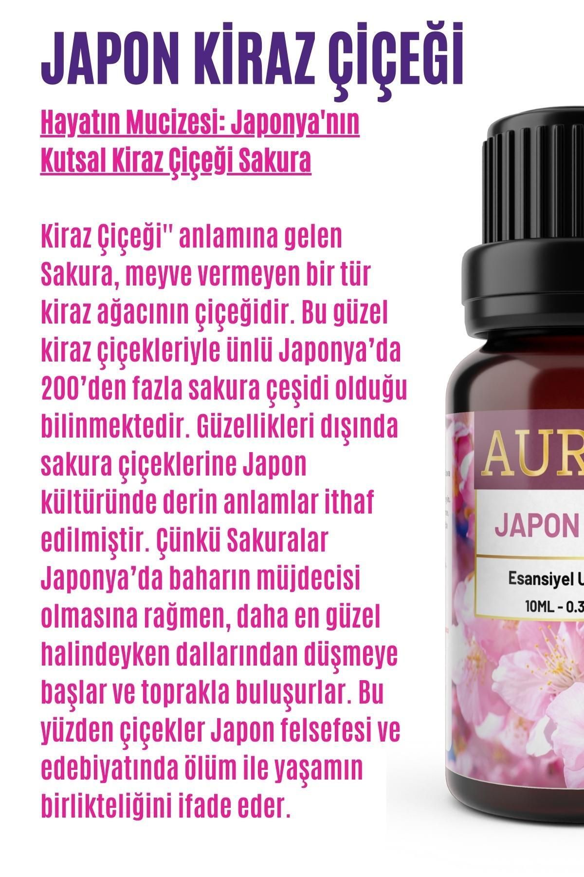 AURAN Japanese Cherry Blossom Essential Oil Diffuser Essence 10ml 2