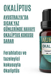 AURAN Eucalyptus Essential Oil 10ml 2