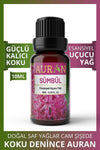 AURAN Hyacinth Essential Oil Diffuser Essence 10ml 1