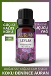 AURAN Lilac Essential Fragrance Oil Burner Oil Diffuser Essence Hobby Essence Room Scent 10ml 1