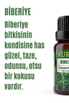 AURAN Rosemary Essential Oil Diffuser Essence 10ml 2