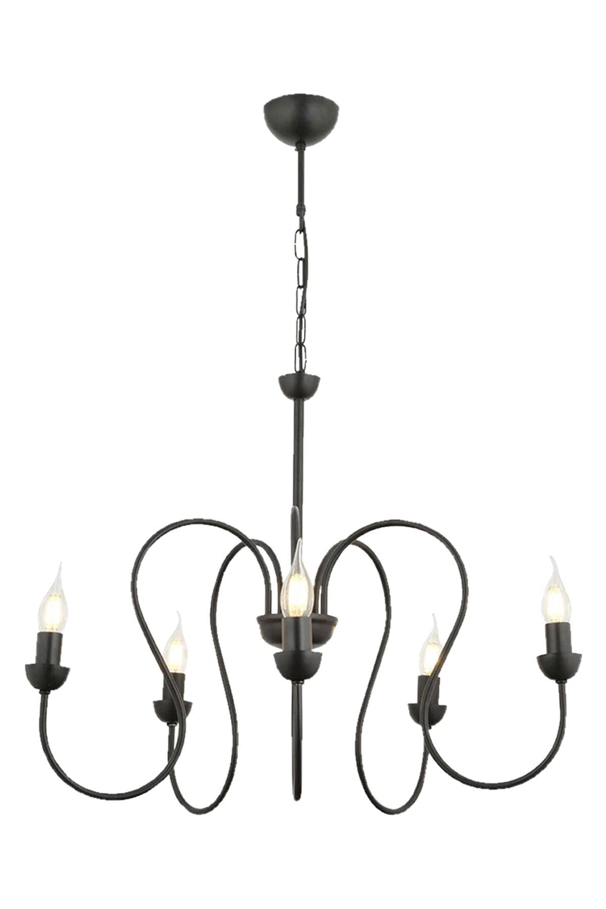 Apliqa Flor 5-Light Black Modern Chandelier for Bedroom Kitchen Living Room 2