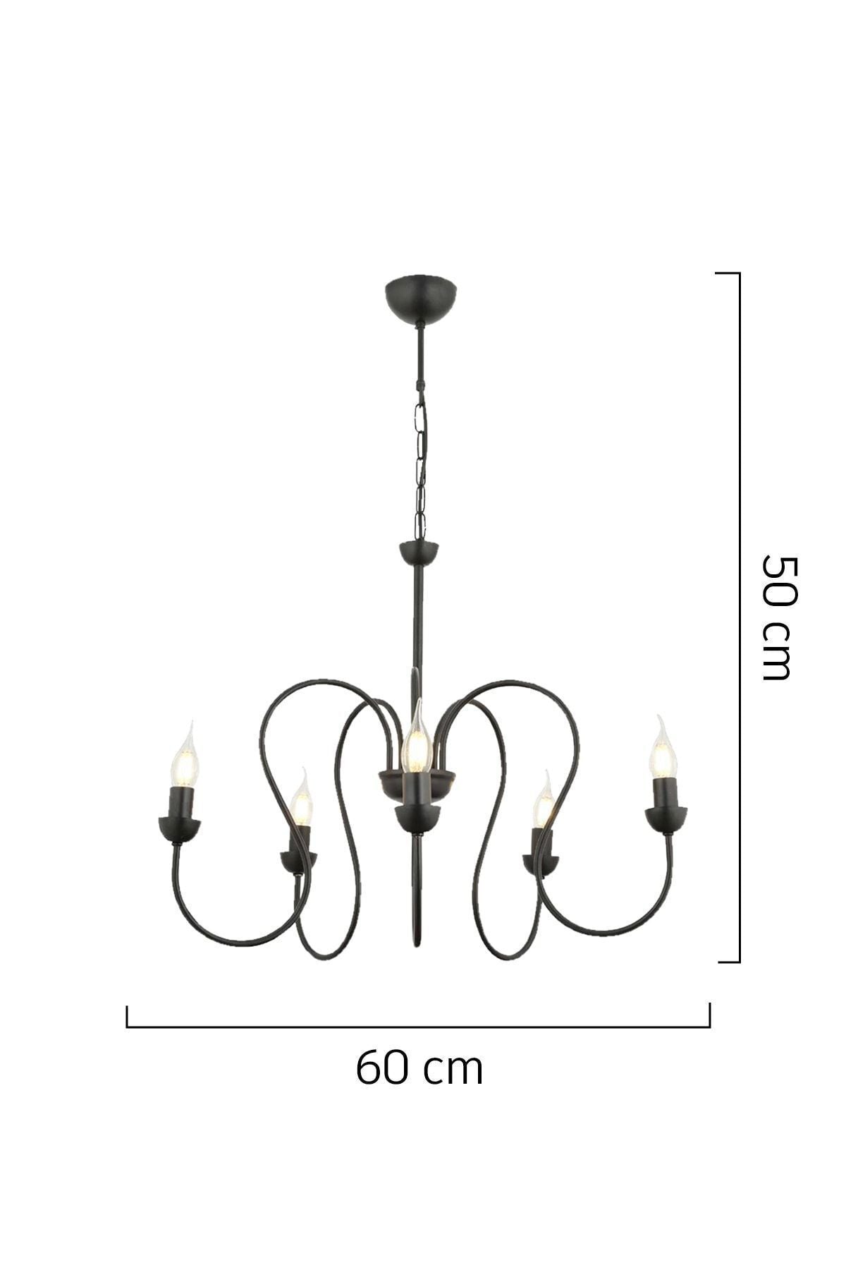 Apliqa Flor 5-Light Black Modern Chandelier for Bedroom Kitchen Living Room 3