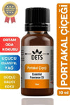 Dets Orange Blossom Essential Oil - 100% Natural Essence for Burner, Diffuser, and Room Fragrance 10ml 1