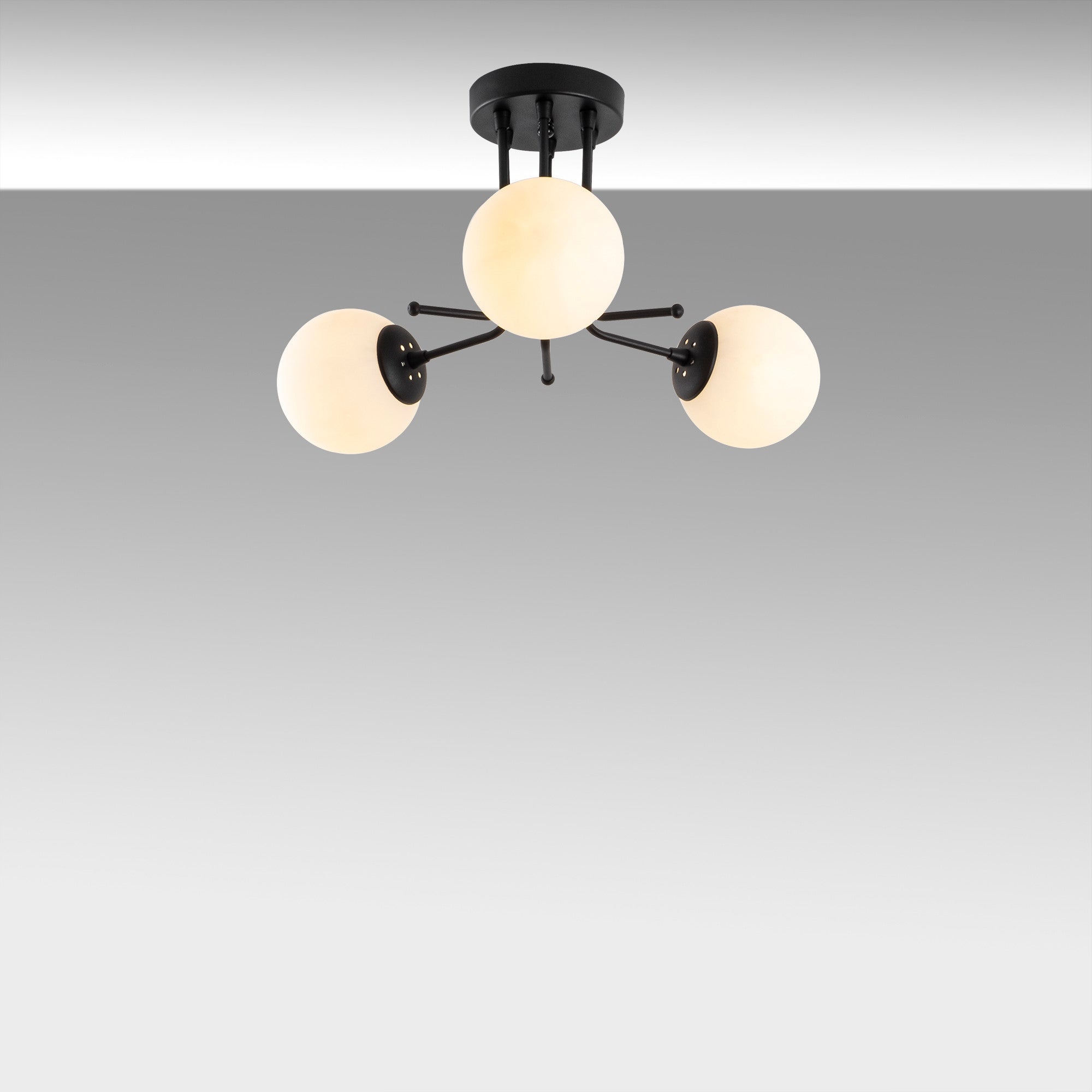 Chandelier Daisy-147-AV3 Black 521SHN3438 3