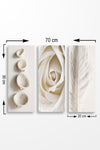 Decorative MDF Painting (3 Pieces) MDF0086 Multicolor 537MRV5186 2