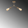 Chandelier Sparrow - 1251 Vintage 584TTM1254 5