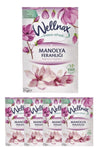 Wellnax Breeze Refresh Drawer And Closet Scent Magnolia Freshness Sachet X5 1