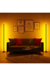 Deko Light Decorative 2 Piece LED Floor Lamp - Remote Controlled 16 Color Lamp - Changeable Color Variety 1