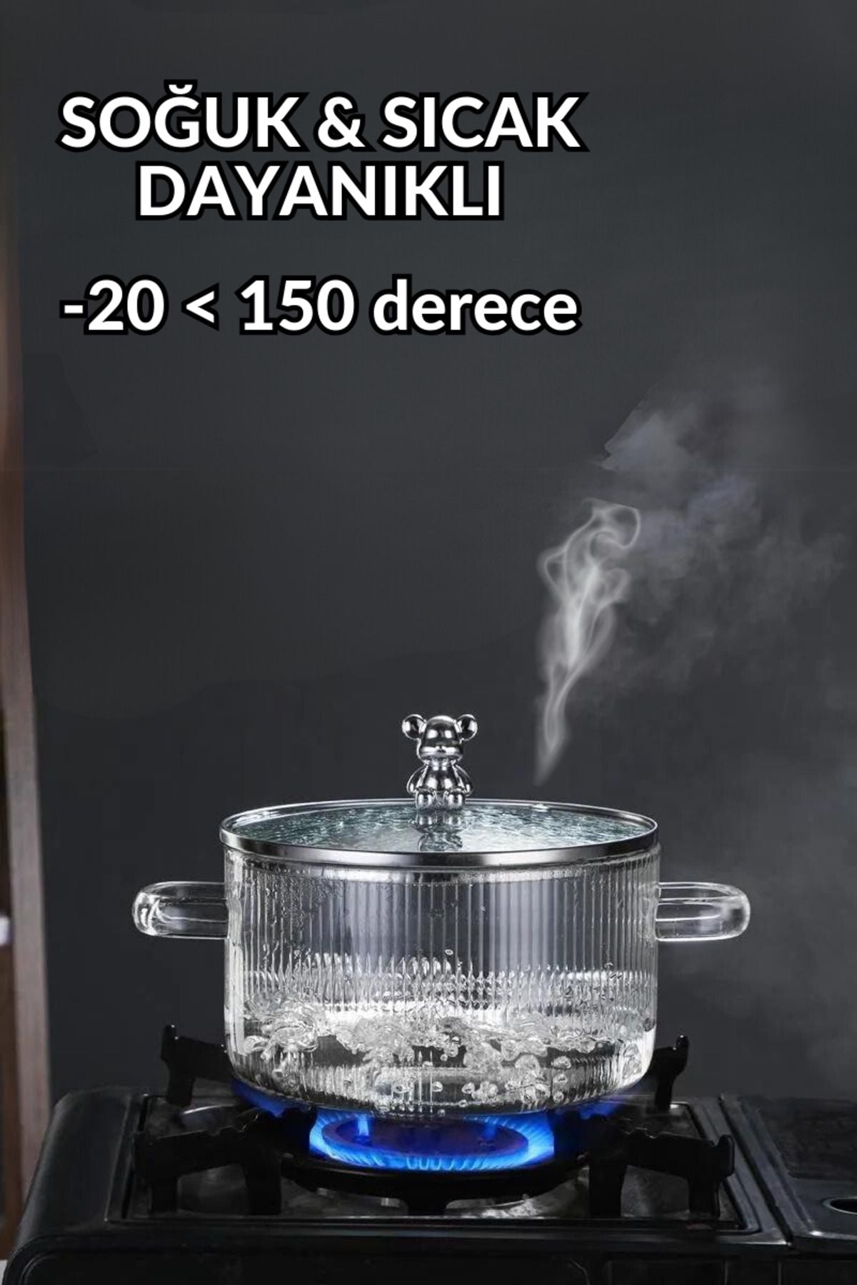 Comprox 1700cc Bear Shaped Heat Resistant Pot | Borosilicate | Termisil Stove Top Glass Pot-1AD 2