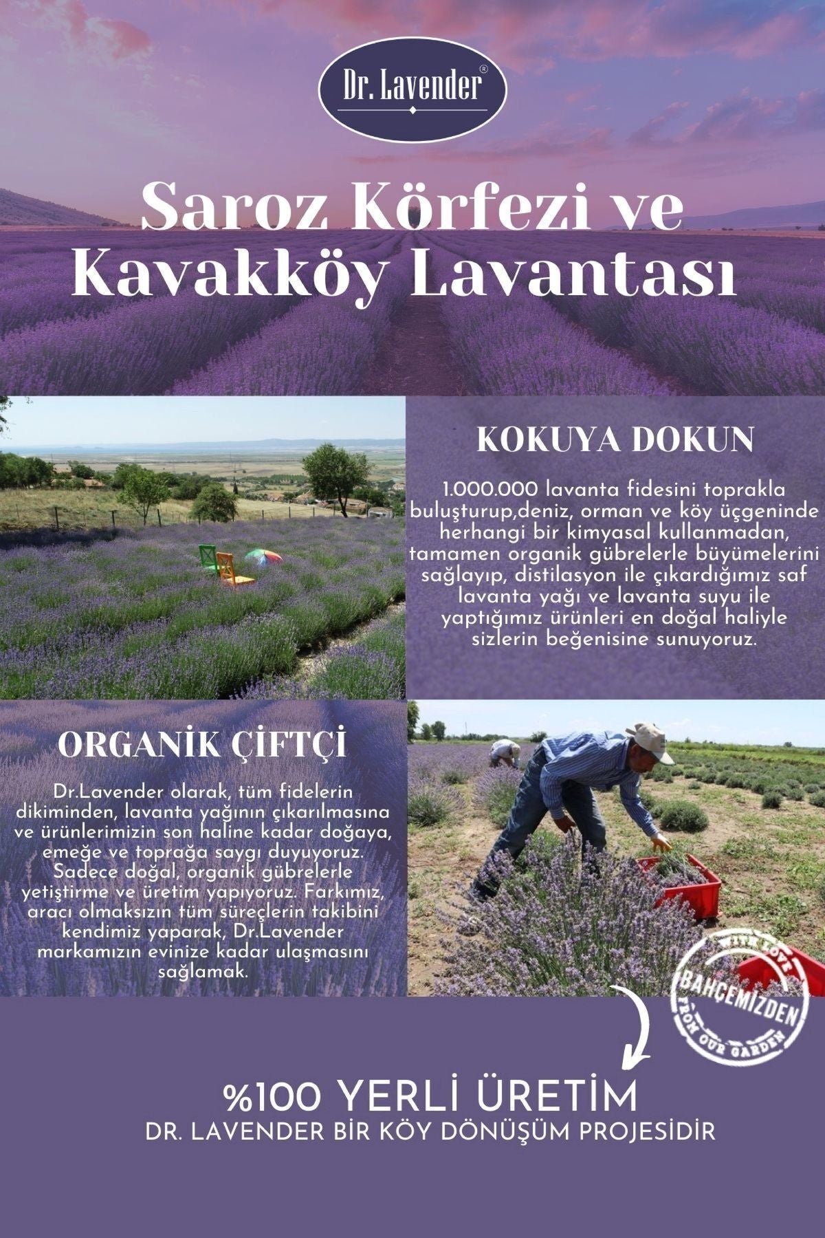 Dr. Lavender Gallipoli Kavakkoy Lavender 100% Pure Natural Lavender Oil Burner Oil Diffuser Essence 10 ml 4