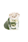 Missi 50 cc Ivory Flower Stone Vanilla Sandalwood Room Fragrance 2