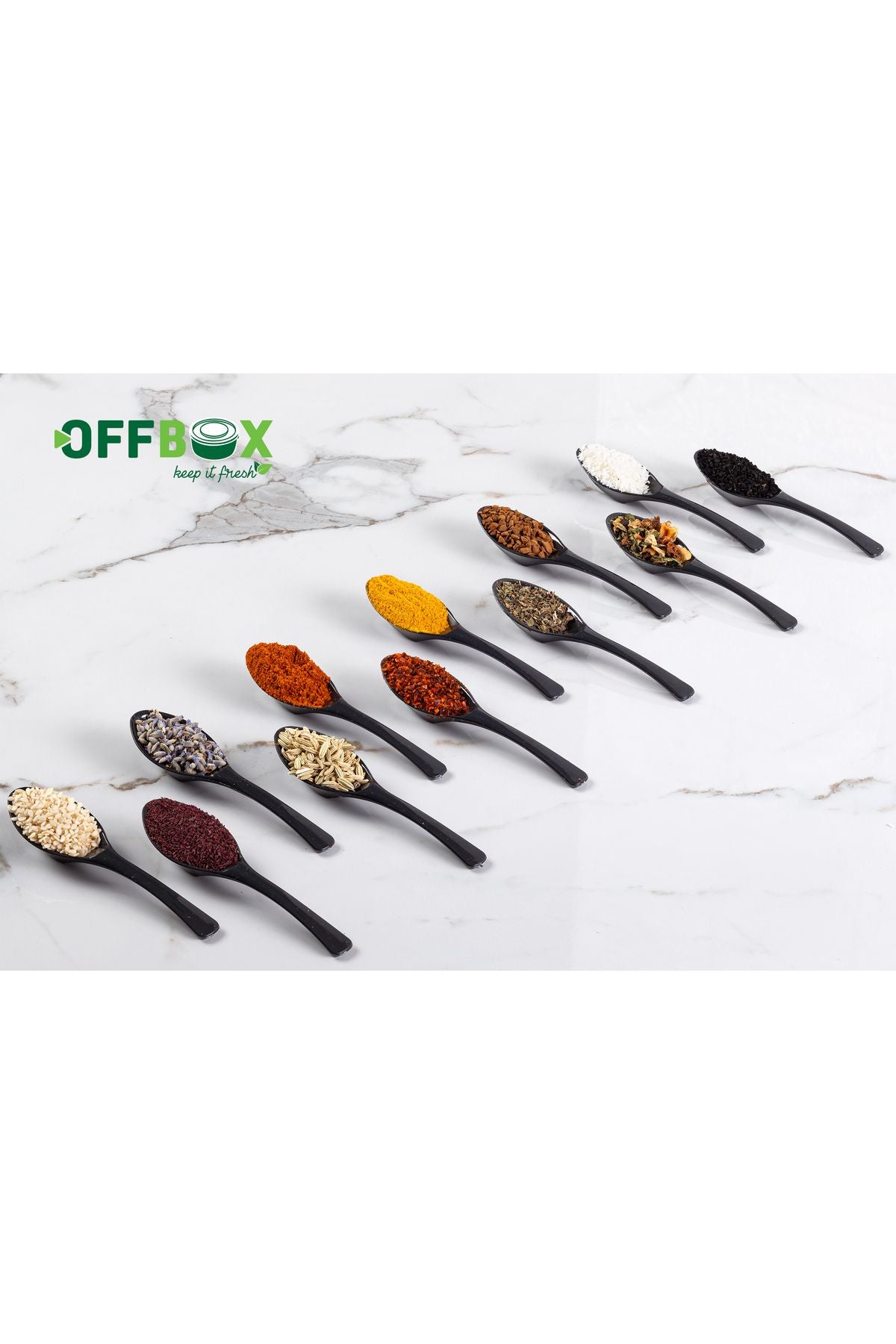 OFFBOX 12 Pieces Spice Spoon Breakfast Spice Spoon Spoon Set BK-12 4