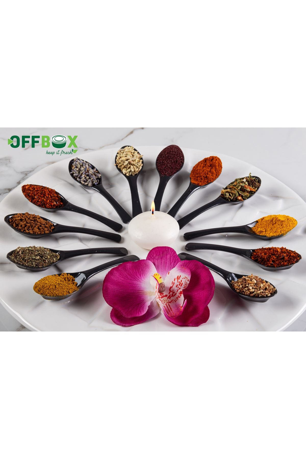 OFFBOX 12 Pieces Spice Spoon Breakfast Spice Spoon Spoon Set BK-12 7