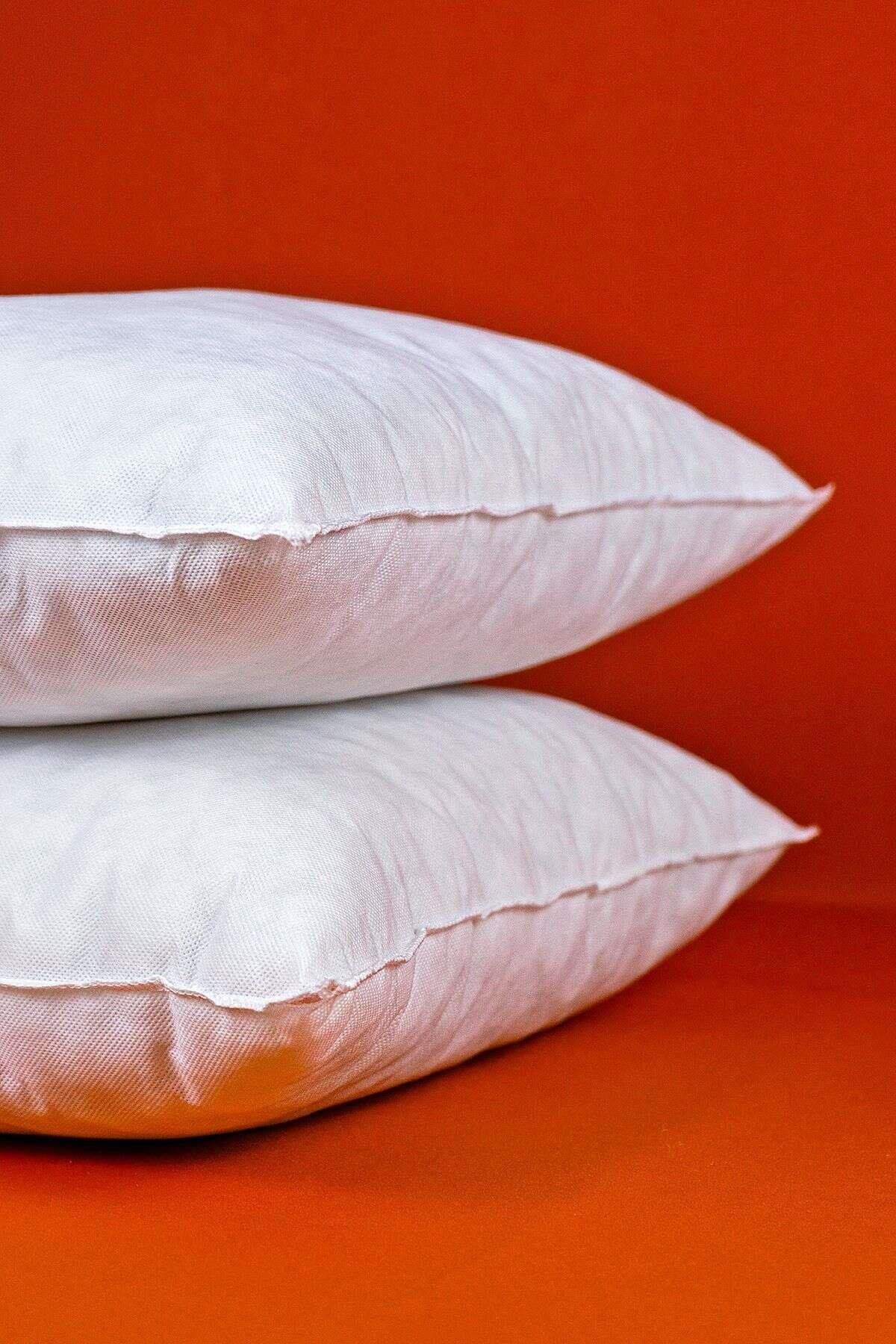 Cango Home Pillow Insert - 2 Pieces Esnafali 2