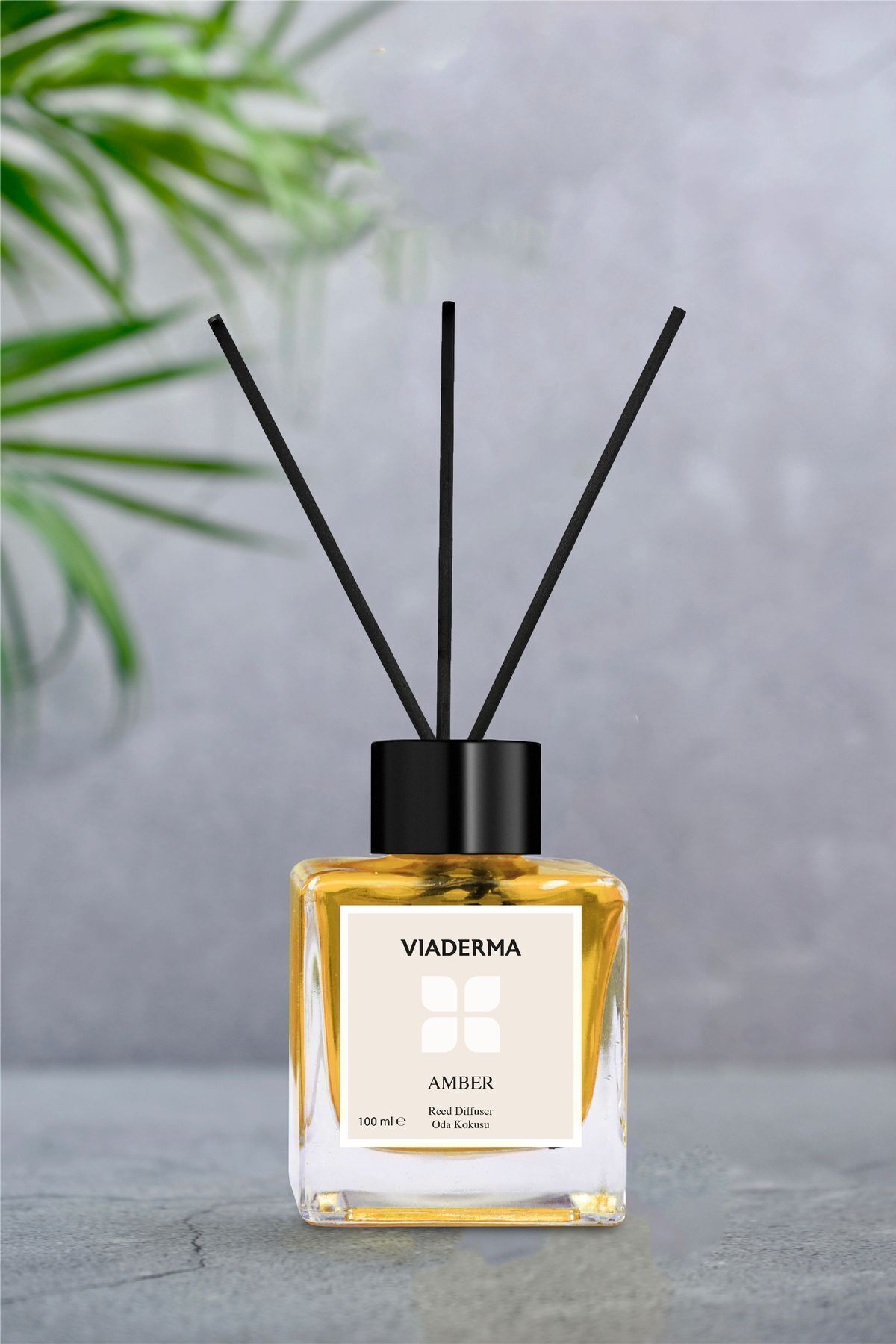 Viaderma Square Bottle Amber Essence Bamboo Stick Room Fragrance 100 ml 3