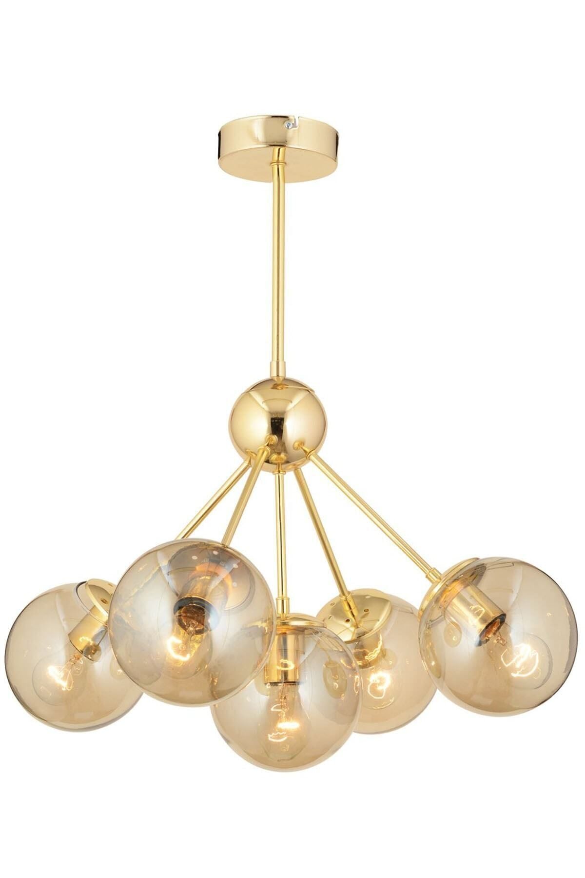 Apliqa Meyo 5Li Gold Honey Glass Modern Youth Room Bedroom Living Room Chandelier 2