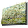 Decorative Canvas Painting 70100VANGOGH017 Multicolor 978VNC1193 2